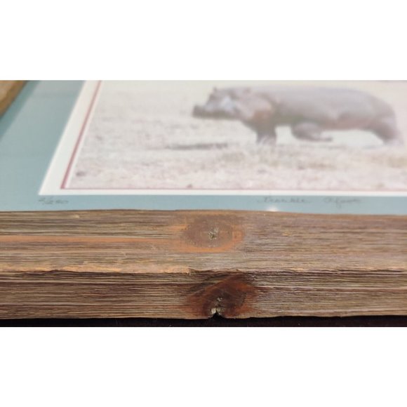 Hippopotamus Photography Lake Manyara National Park Tanzania Africa Lee-Margaret - Picture 6 of 15